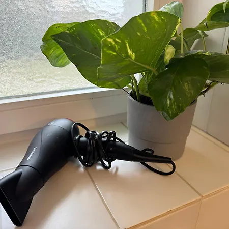 Apartment Albrecht, Zentrales Mit Terrasse Waldshut-Tiengen